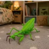 LEAN TOYS Figura de goma de mantis religiosa estirable realista verde 18 cm