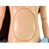 LEAN TOYS Muñeca Bebé Mamá Embarazada con Barriga Apertura y Vestido Azul 30 cm
