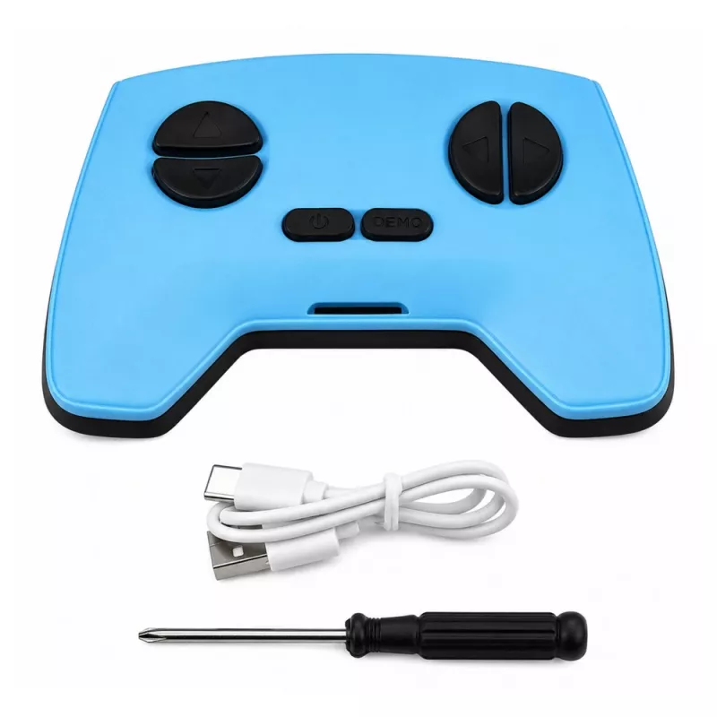 LEAN TOYS RC Gecko Lagarto trepador de pared 360° azul