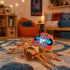 LEAN TOYS Spider Tarantula Figura de goma elástica realista 12 cm