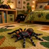 LEAN TOYS Spider Tarantula Figura de goma elástica realista negra 10 cm
