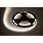Tira LED 25m Rebel 300x5050 SMD blanco neutro impermeable 12V