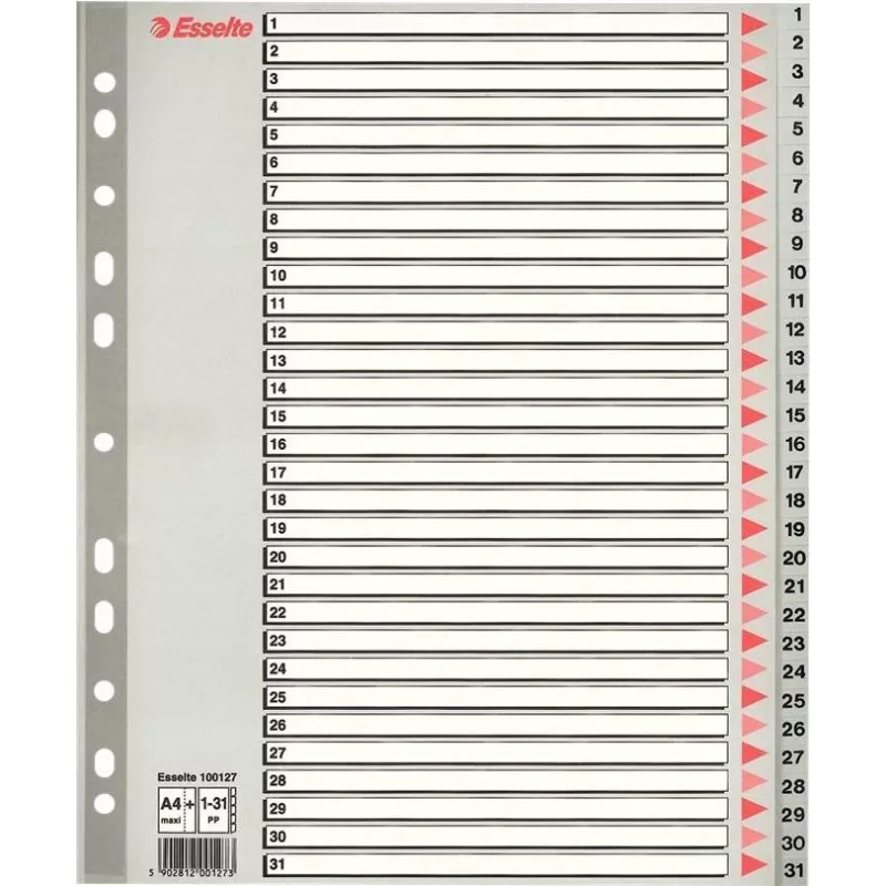 LEITZ Índices de plástico A4 extra anchos en blanco, 20 divisiones, perforación universal, blanco translúcido 1278-00-00