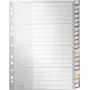 LEITZ Índices de plástico A4 extra anchos en blanco, 20 divisiones, perforación universal, blanco translúcido 1278-00-00