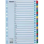 Esselte índice A4 Mylar A-Z, 20 partes, multicolor (100167)