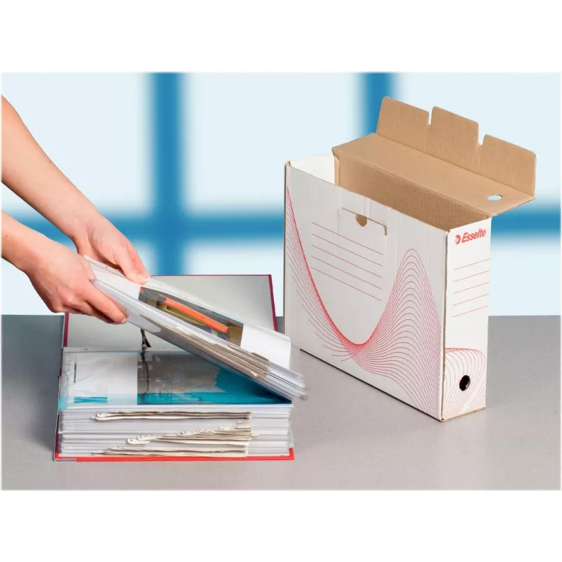 LEITZ Esselte caja de archivo, lomo 100 mm, cartón ondulado blanco con líneas preimpresas para la organización (128201)