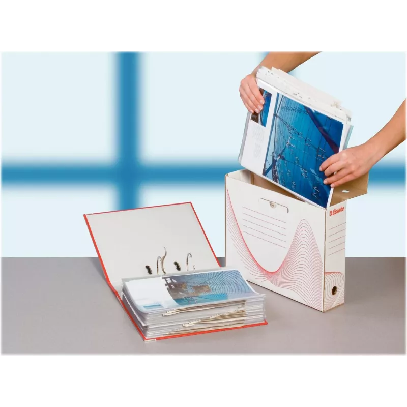 LEITZ Esselte caja de archivo, lomo 100 mm, cartón ondulado blanco con líneas preimpresas para la organización (128201)