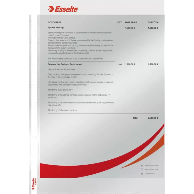 LEITZ Esselte Funda de documentos estándar A4, polipropileno, cristal transparente, 0,06 mm, apertura superior, segura para documentos, perforación múltiple, borde reforzado, pack de 100 (925008)