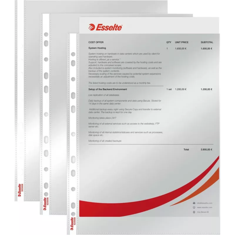 LEITZ Esselte Funda de documentos estándar A4, polipropileno, cristal transparente, 0,06 mm, apertura superior, segura para documentos, perforación múltiple, borde reforzado, pack de 100 (925008)