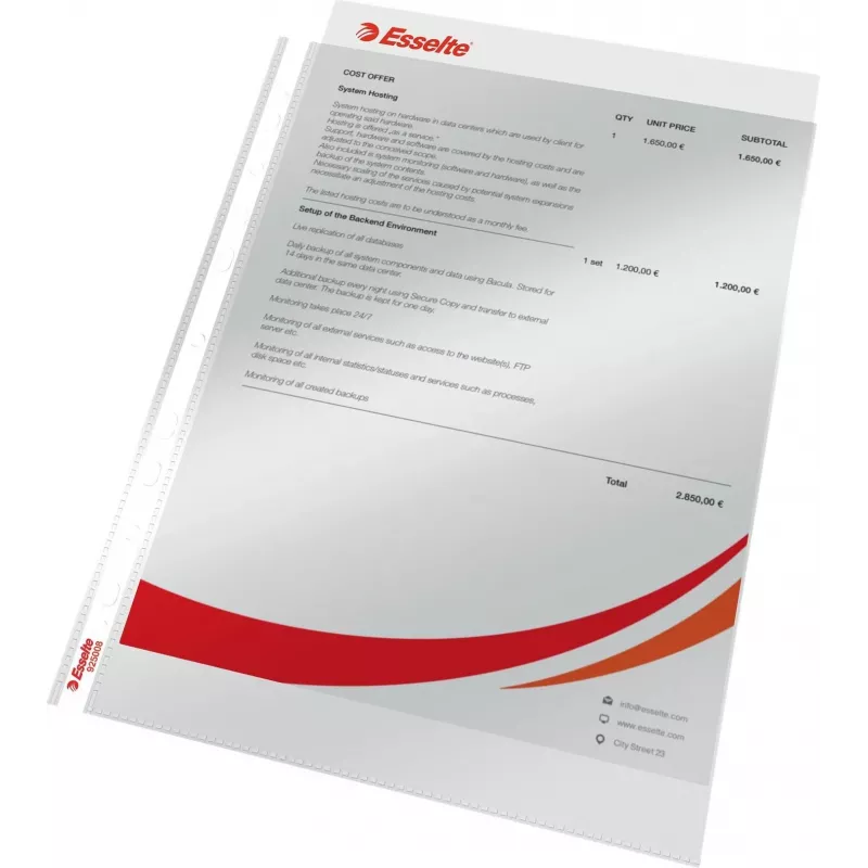 LEITZ Esselte Funda de documentos estándar A4, polipropileno, cristal transparente, 0,06 mm, apertura superior, segura para documentos, perforación múltiple, borde reforzado, pack de 100 (925008)