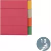 LEITZ separador de cartón extra resistente, pestañas en blanco, A4, 10 partes, multicolor, 230 g/m², cartón teñido en 5 colores (4359-00-00)