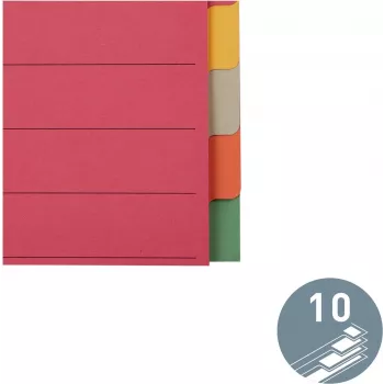 LEITZ separador de cartón extra resistente, pestañas en blanco, A4, 10 partes, multicolor, 230 g/m², cartón teñido en 5 colores (4359-00-00)