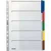 LEITZ Separadores de cartón Mylar, en blanco, A4, 5 partes, pestañas grises, 160 g/m², con portada etiquetable 4320-00-00