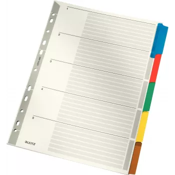 LEITZ Separadores de cartón Mylar, en blanco, A4, 5 partes, pestañas grises, 160 g/m², con portada etiquetable 4320-00-00
