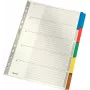 LEITZ Separadores de cartón Mylar, en blanco, A4, 5 partes, pestañas grises, 160 g/m², con portada etiquetable 4320-00-00