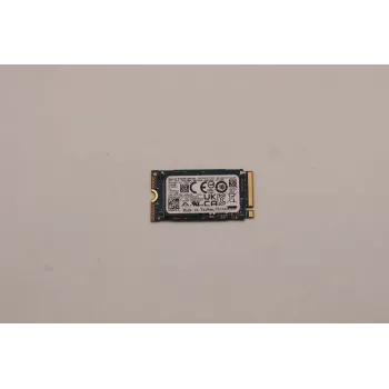 Lenovo 256GB M.2 2242 PCIe Gen3 x4 NVMe SSD interna (5SS0V26422)