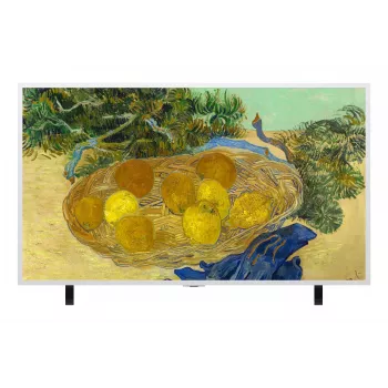 LG 55LX7B6LA.AEEQ TV OLED Gallery 55 inch 4K Ultra HD Smart webOS 23 plata/negro