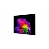 LG OLED83G61LW TV inteligente OLED evo 4K 83 inch (webOS 23, procesador α9 AI-Pro Gen6, Dolby Vision/Atmos, 120Hz, diseño G6 Gallery)