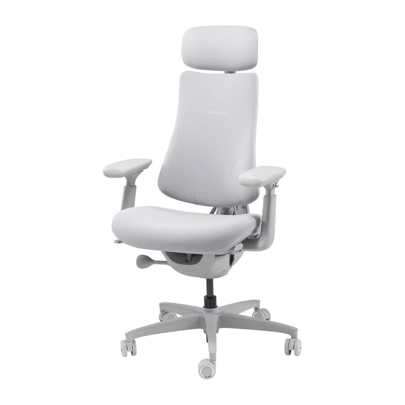 LiberNovo Omni silla de oficina ergonómica Dynamic, gris, malla, altura de asiento 45 cm, reposabrazos ajustables 3D, capacidad 120 kg