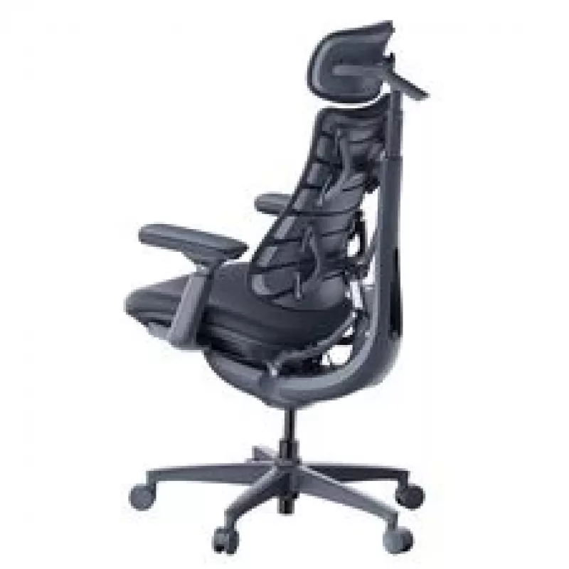LiberNovo Omni silla de oficina ergonómica con respaldo activo y función de masaje, negra