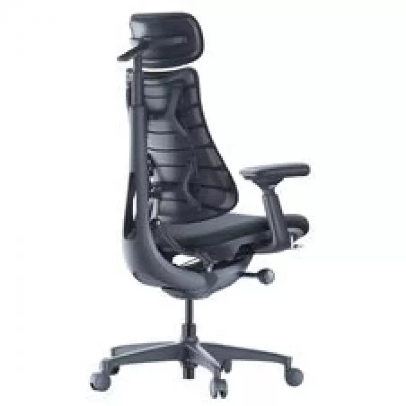 LiberNovo Omni silla de oficina ergonómica con respaldo activo y función de masaje, negra