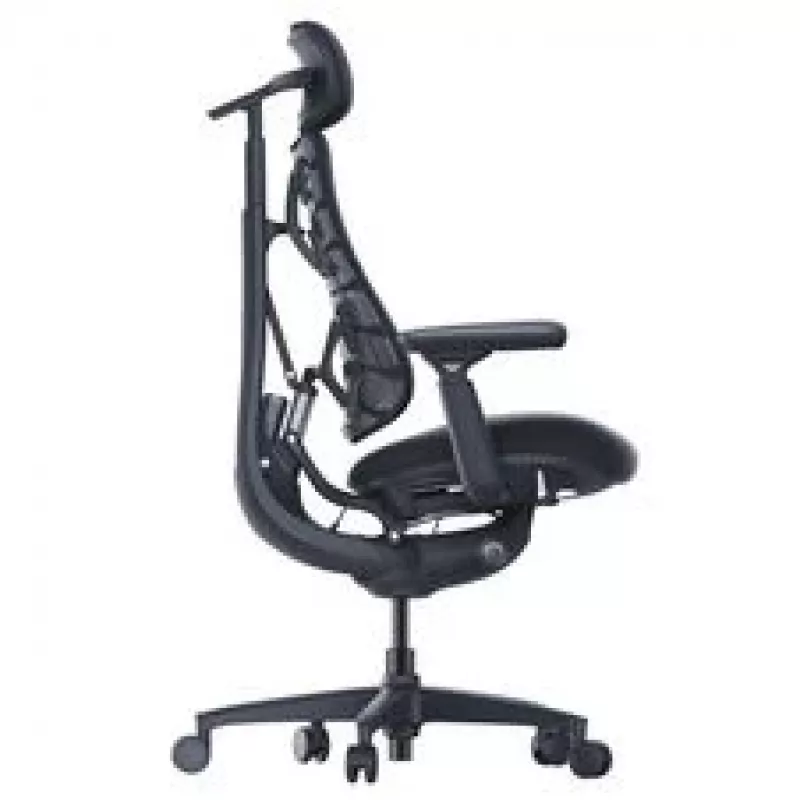 LiberNovo Omni silla de oficina ergonómica con respaldo activo y función de masaje, negra