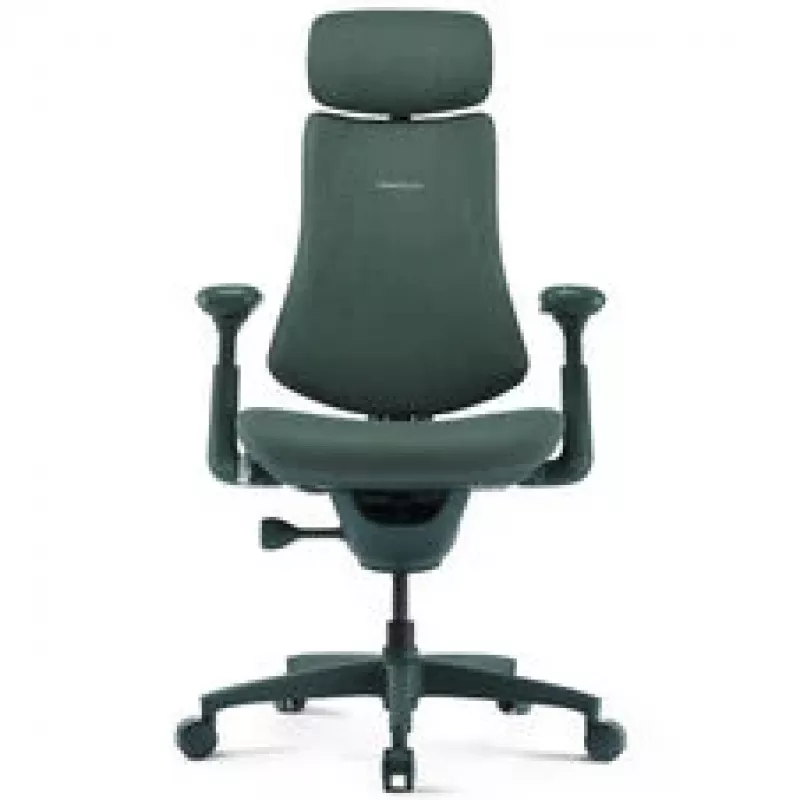 LiberNovo Omni silla de oficina ergonómica con soporte lumbar activo y masaje - verde