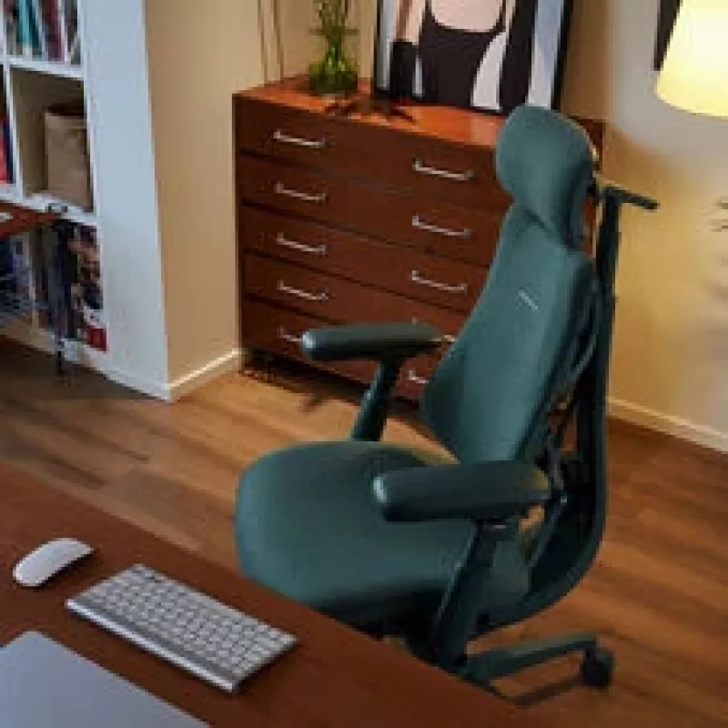 LiberNovo Omni silla de oficina ergonómica con soporte lumbar activo y masaje - verde