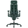 LiberNovo Omni silla de oficina ergonómica con soporte lumbar activo y masaje - verde
