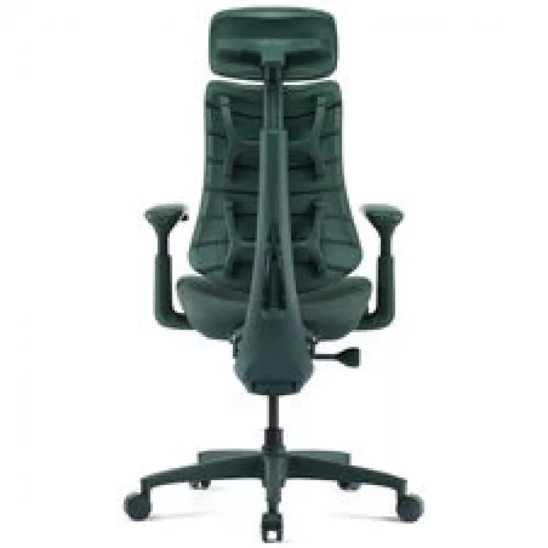 LiberNovo Omni silla de oficina ergonómica con soporte lumbar activo y masaje - verde