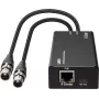 LINDY codificador de audio XLR a Dante de 2 canales, PoE, AES67, 24 bits/96kHz 70618