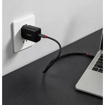 Lindy Cargador USB Type-C GaN de 65W (73448)