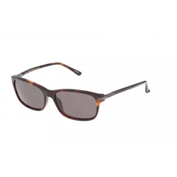 Gafas de sol unisex LOZZA SL4029M564APP - 56/16/140 mm - Protección UV400