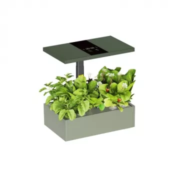 LUMI LEGEND CORPORATION HS085001 sistema de cultivo hidropónico inteligente de interior, 12 cápsulas, LED de espectro completo, control por app Wi-Fi, blanco