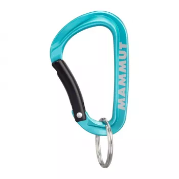 Mosquetón mini Mammut Classic Keylock S - Plata/Gris