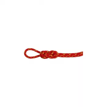 Cuerda seca Mammut Virve 8.0 Alpine Core Protect 70 m