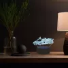 Manta SNL64RGB lámpara LED decorativa de luz para coche 3D RGB