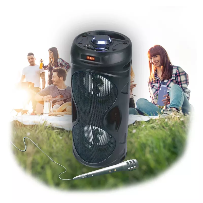 Manta SPK815 altavoz portátil Bluetooth para fiestas con karaoke, 30W RMS, LED disco, radio FM, USB/SD/AUX