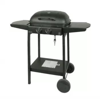 MASTER GRILL Master Barbacoa de gas 2 quemadores MG672