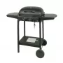 MASTER GRILL Master Barbacoa de gas 2 quemadores MG672