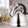 MEO Stovetop Kettle 2.8L MR-1328 MAESTRO Hervidor para placas de cocina de acero inoxidable con silbato y asa de baquelita resistente al calor, apto para inducción y todo tipo de cocinas, plata