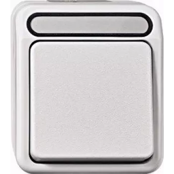 Merten Aquastar Interruptor de control de 2 polos con luz piloto, gris claro MEG3102-8029