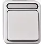 Merten Aquastar Interruptor de control de 2 polos con luz piloto, gris claro MEG3102-8029