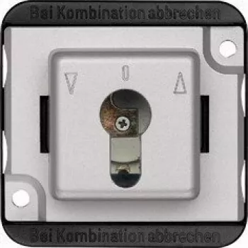 Merten 318760 Inserto de interruptor de llave para persianas, pulsador/enclavamiento, tipo cilindro de cierre, bipolar, plata mate
