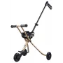 Micro Trike Deluxe triciclo con empuje para niños de 18 meses a 5 años