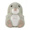 Momini Nebulizador de compresor NebuBunny