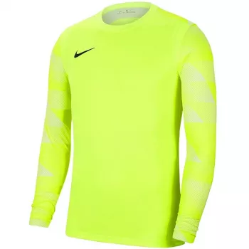 Nike Dry Park IV JSY LS GK Lime Sudadera portero CJ6066 702 L