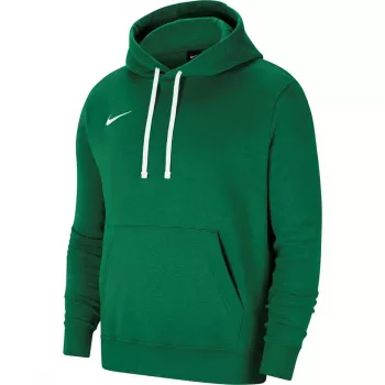 Nike Park 20 Sudadera con capucha Pine Green CW6957-302