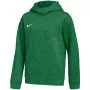 Nike Park 26 Fleece Sudadera con capucha niños verde XL