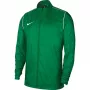 Chaqueta Nike RPL Park 20 RN JKT W para hombre verde BV6881 302 XL